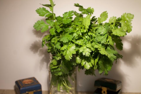 New India Bazar Cilantro