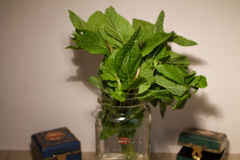 New India Bazar Mint