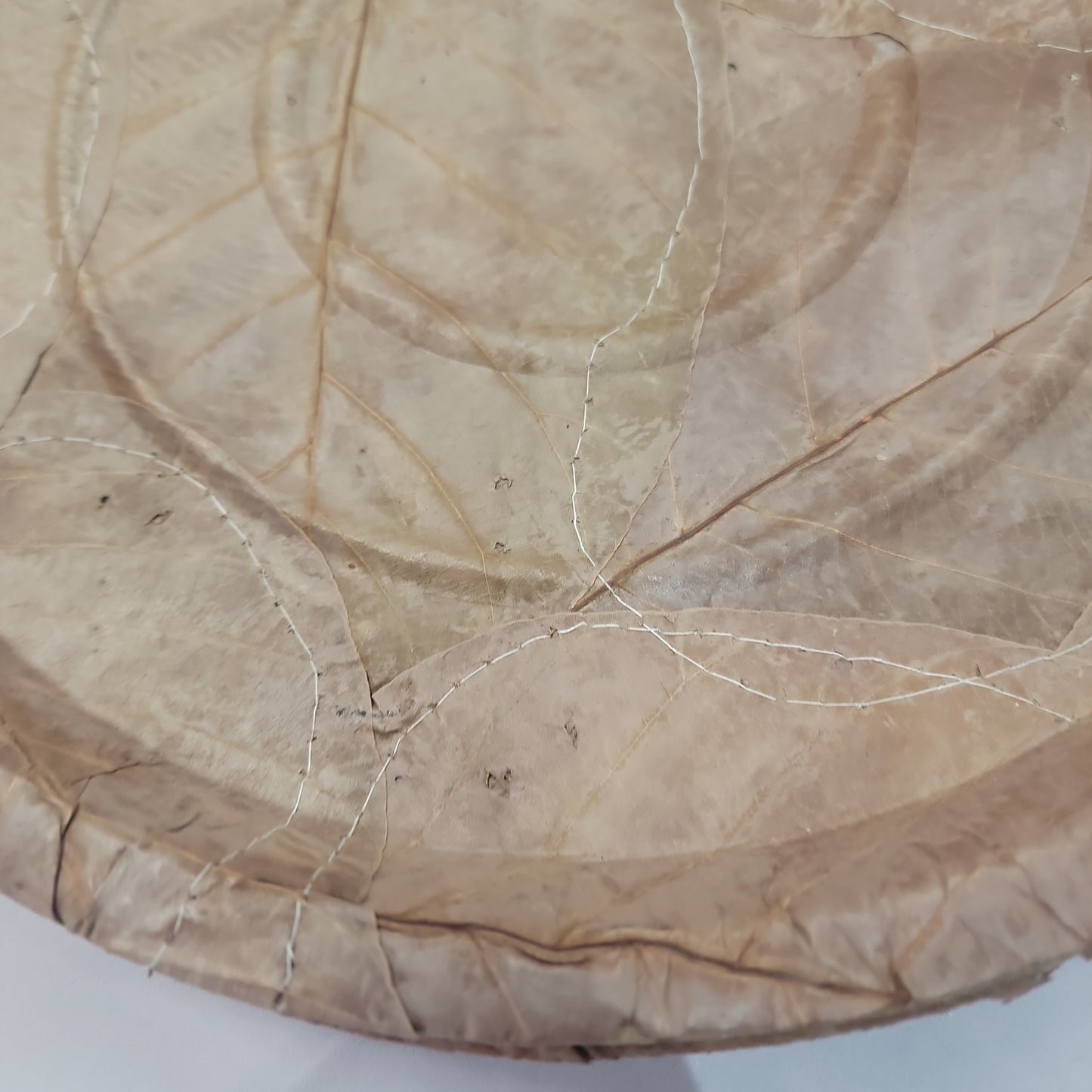 Natural leaf plate